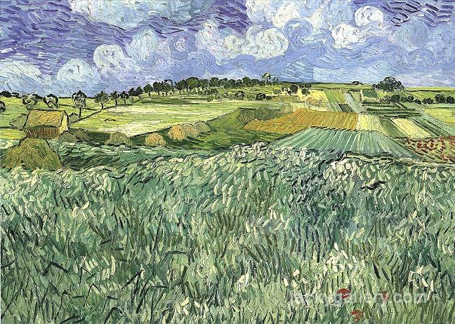 Plain near Auvers, Van Gogh painting